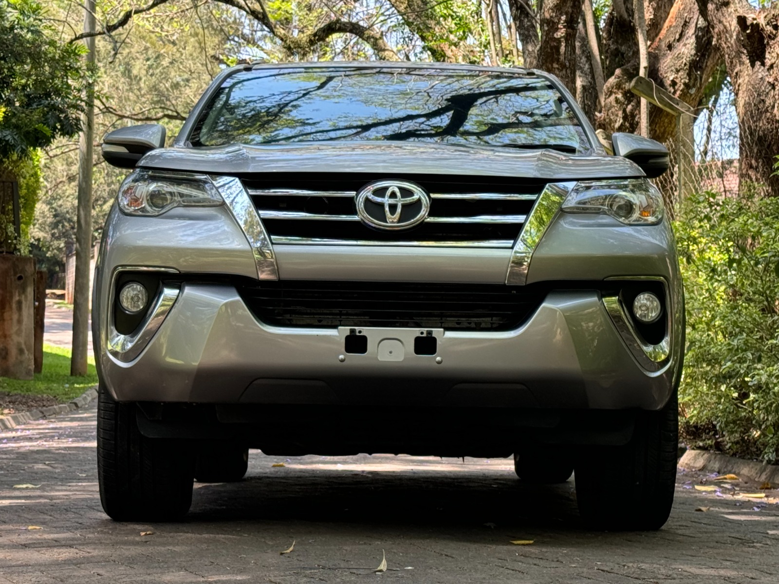 42v216c03x88fea